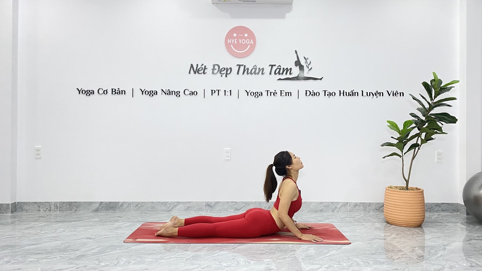 Yoga Cho Người Mới Bắt Đầu: Các Loại Hình, Lợi Ích và Cách Tập Luyện ...